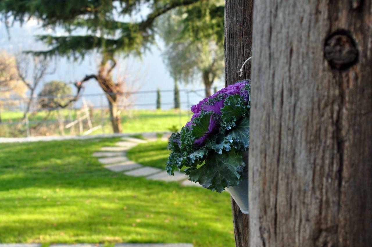 B&B La Cassinella Cernobbio Bagian luar foto
